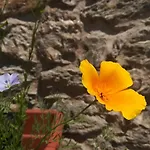 B&B Cedavecia