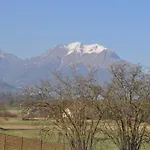 Hotel Piol