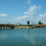 Mimose Lido Altanea
