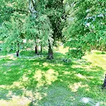 Garden Of Venice