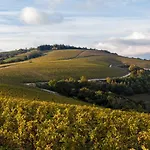 Ca' Del Moro Wine Retreat