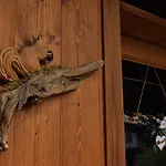 Appartamento Mainardi