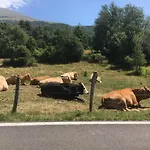 Appartamento Prada Bellavista Lago Di Garda