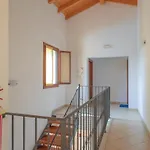 Apt,5