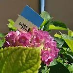 B&B In The Sun