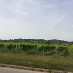 Locazione Turistica Da Toio