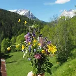 Dalla Dora- A Peaceful Place In The Dolomites