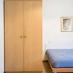 El Pado 16
