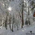 Casa Nella Natura Il Risveglio Degli Elfi
