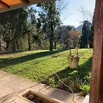 Il Bagolaro