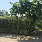 Corte Colombaron