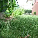 Abaven