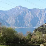 Panoramic Green Studio