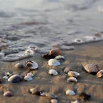 Choose To Spend Your Holiday With Beahost Rentals