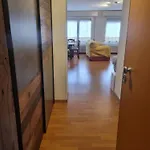 La Casa Di Nicola - Monolocale In Centro A Pieve Di Cadore