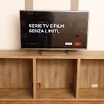 Amira Suite Fiera