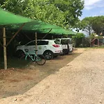 Agriturismo Il Podere Vedelago Con San Bernardo, Alpaca E Una Pentola Di Cose Da Scoprire