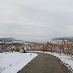 La Collina Dei Ciliegi