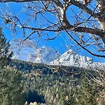 Home In Dolomiti
