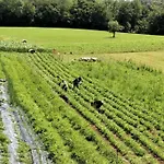 Double Bedroom, Kitchen, Bathroom In Organic Farm