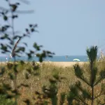 Ferienwohnung Fuer 4 Personen Ca 33 Qm In Bibione, Adriakueste Italien Bibione Und Umgebung