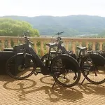 Locanda Degli Ulivi