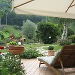 Hotel Calvi-Ristorante Mainor