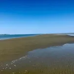 La Zia Acida