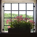 Agriturismo Althea