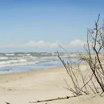 Il Piccolo Albero