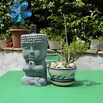 Green Apartment