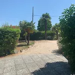 Palma Verde
