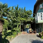 Palma Verde