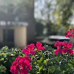 Houses And Apt In Caorle 43917