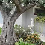 Ca' Olivo