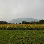 La Verde Dimora