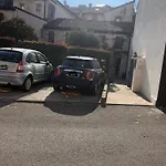 Papere E Tulipani