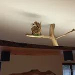 La Casa Di Beppe