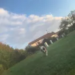 Agriturismo Il Podere Vedelago Con San Bernardo, Alpaca E Una Pentola Di Cose Da Scoprire