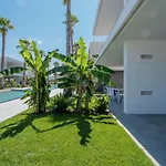 Palms Edition
