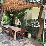 Villa Gelsomino A 30 Minuti Da Venezia
