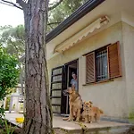 Arco Bungalow