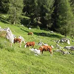 Appartamento Tre Valli 5