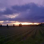 Casa Vittoria-Relax Tra Lago Di Garda E Verona