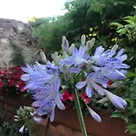 Una Casa Di Campagna