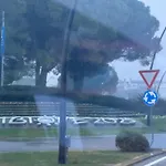 Bibione Landora Nummer 141