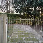 House In The Park! Free Parking And Convenient To Venice