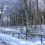 Casa Alpago