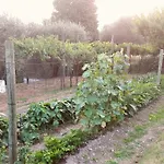 Appartamento Dell'Uva