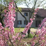 Terrace Apartment, Pool, Garden, Treviso